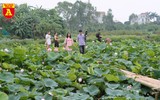 Thiếu nữ Hà thành nô nức khoe sắc cùng mùa sen nở